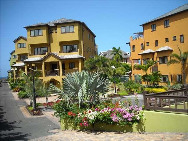 Alexanders Penthouse On The Beach Ocho Rios Luaran gambar