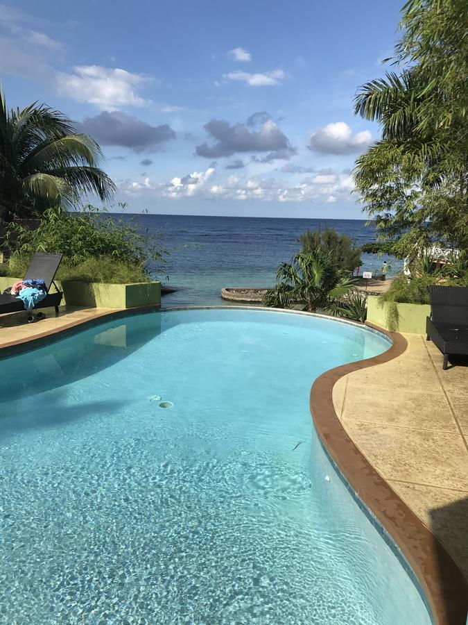 Alexanders Penthouse On The Beach Ocho Rios Luaran gambar