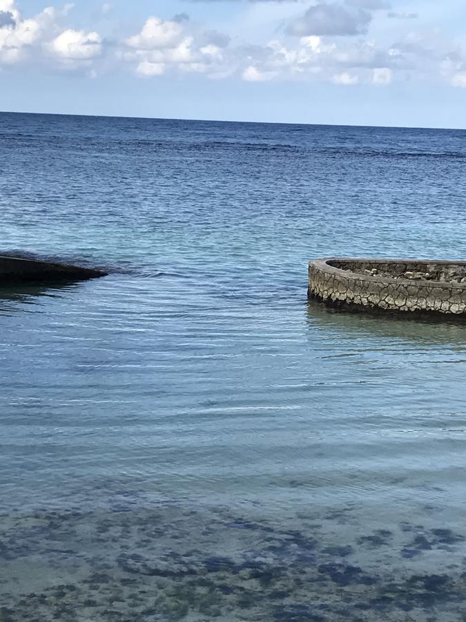 Alexanders Penthouse On The Beach Ocho Rios Luaran gambar