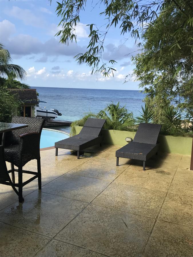 Alexanders Penthouse On The Beach Ocho Rios Luaran gambar
